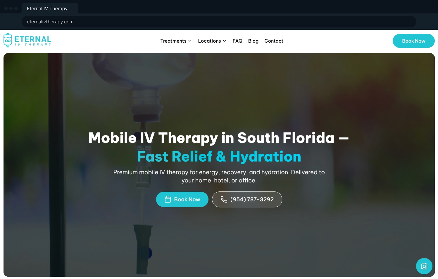 Cover image for Eternal IV Therapy.